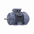 Marathon 1.1 Kw General Purpose Low Voltage Iec Motor, 3 Phase, 1200 Rpm, R217 R217